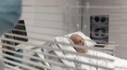 В больницах хотят сообщать в полицию о пациентах без документов