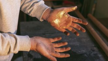 Добычу золота под видом геологоразведки хотят пресечь
